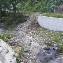 청송나무집 이미지