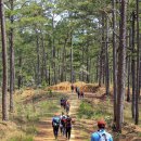 스마일 마취통증의학과의원 이미지