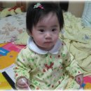 노란병아리 이미지