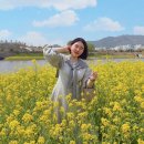 여수미용상사 | 반 꽃반,,,세종에서 여수, 여수에서 순천까지_순천만...박람회 (순천만국가정원반려견놀이터 예약 후기)