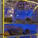 이레의커피 이미지