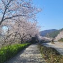 중앙여자고등학교 (건너) 이미지