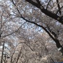 오읍(북산)약수터 이미지