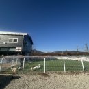 퍼스트 독 스쿨 이미지