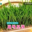 보리가득 이미지