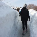 행여나목장 이미지