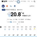 배떡용운