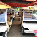 초록스크린골프클럽 이미지