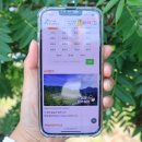 알봉 둘레길 | 울릉도 나리분지 숲길 대중교통 투막집 산책로 알봉둘레길 깃대봉