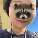 율곡천 5 이미지