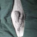 해뜨는 동물병원 이미지