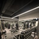 프로짐 휘트니스 | 압구정 헬스장 백프로짐 압구정점 방문 후기: 시설, 환경, 운동 루틴까지 솔직 리뷰