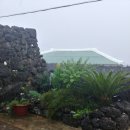 하도별방 이미지