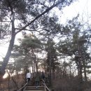 선돌 민박 이미지