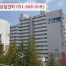 꽃대나리로 이미지