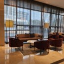 마요트 관광호텔 | 25년 벚꽃 개화 시기 &amp; 경기 벚꽃구경 명소와 추천 호텔