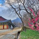 서구-02-35 이미지