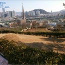 석전동161 이미지