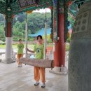 지축동 흥국사길 | 속세에서 벗어나 절에서의 1박 2일🎐 | 템플스테이 예약 방법 | 가격 | 준비물 | 후기 | 근교 템플스테이