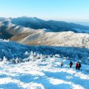 2018-주063 이미지