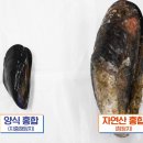 섭 이미지