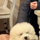 돈사무소 이미지