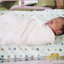 깨끗태진 이미지