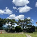 백제사 | (제주/애월) 익숙한 것을 낯설게 바라보는 연습 [백제사 템플스테이] 후기