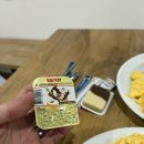 꿀떡노래광장 | 노랑풍선 발칸3국[3일차] 슬로베니아 소도시 피란, 포스토이나 동굴 웨이팅 후기, 슬로베니아 투어 추천
