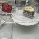 빌리엔젤 벨라시타점 | [고양] 벨라시타 빌리엔젤 고양터미널카페 레드벨벳케이크맛집