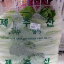 세상모든야채