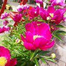 가정식식당 이미지