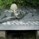 약사전약수터 이미지