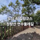연수둘레길 | "인천 가볼만한곳" | 도심 속 힐링산책 청량산 연수둘레길
