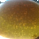 진명크리닝 | 문정희 - 나는 문학이다.