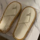 디디피엘 | 상하이 가성비 숙소 추천 : 매그니피센트 인터내셔널 (1박 5만원, 华美国际酒店, 재방문의사O)