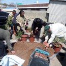 신안장수 이미지