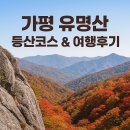 유명산 티스토리