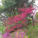 성원농장 이미지