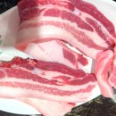 마천흑돼지 이미지