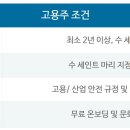 하나인력잡 이미지