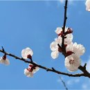 곡부농장 이미지