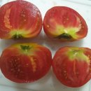 역말농장 이미지