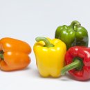 다이어트요가-C 이미지