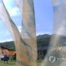 염색하기좋은날 이미지