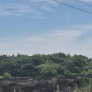 동복목장 | 제주 동쪽 사진 명소 후기 조천 말 볼 수 있는 곳 커플 스냅 실제 경험