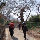 용두레마을 이미지