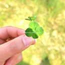 중앙대로186번길 이미지