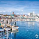 주문진항만 이미지