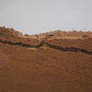 곤충생태관_4 이미지